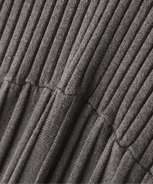 N.（N. Natural Beauty Basic）（エヌエヌナチュラルビューティーベーシック）の「スキッパーポロニットワンピース（ワンピース・レディース・チャコールグレー/ベージュ・MEDIUM）」の20枚目の写真