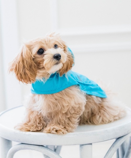 Catherine Cottage(キャサリンコテージ)の「ドッグウェア ポケッタブルレインコート(ペットウェア・レディース・ブルー/イエロー/ピンク・L/LL)」の10枚目の写真