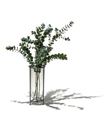 PUEBCO(�v�G�u�R)��GLASS TUBE WITH STAND(�t�����[�x�[�X)