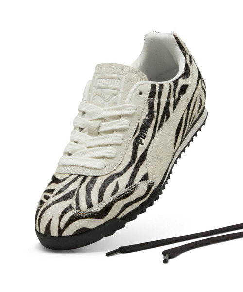 アリゾナ China Customized 8FD30 Forklift Parts Spider Cross Joint