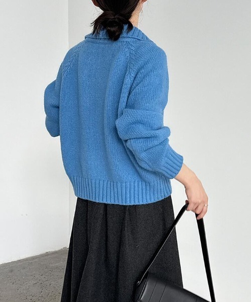 semplice(センプリチェ)の「ダブルファスナーポロカラーカーディガン(カーディガン/ボレロ・レディース・ブルー/オフホワイト/ネイビー・F)」の5枚目の写真