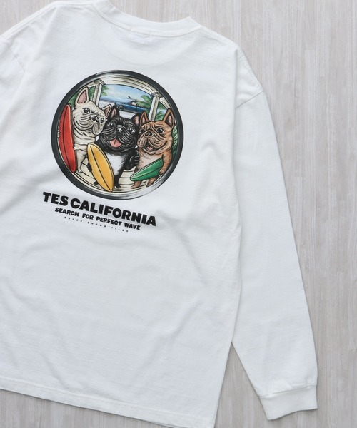 The Endless Summer(エンドレスサマー)の「TES 4BUHI BOARD BROTHERS LONG SLEEVE T-SHIRT / ロンT(Tシャツ/カットソー・メンズ・ホワイト/ベージュ/グレー・SMALL/MEDIUM/LARGE/X-LARGE/XX-LARGE)」の1枚目の写真