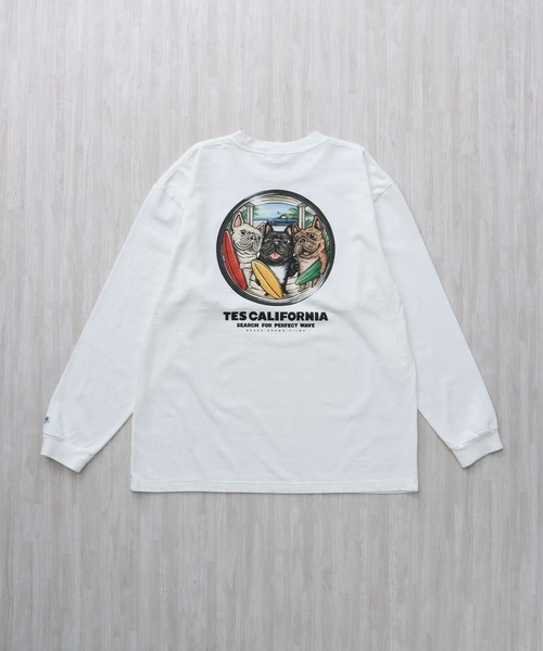 The Endless Summer(エンドレスサマー)の「TES 4BUHI BOARD BROTHERS LONG SLEEVE T-SHIRT / ロンT(Tシャツ/カットソー・メンズ・ホワイト/ベージュ/グレー・SMALL/MEDIUM/LARGE/X-LARGE/XX-LARGE)」の6枚目の写真