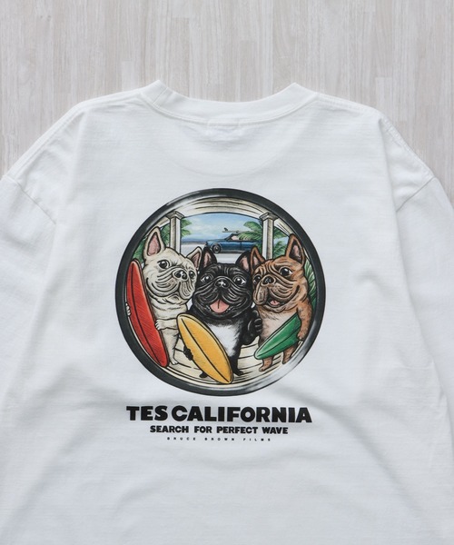 The Endless Summer(エンドレスサマー)の「TES 4BUHI BOARD BROTHERS LONG SLEEVE T-SHIRT / ロンT(Tシャツ/カットソー・メンズ・ホワイト/ベージュ/グレー・SMALL/MEDIUM/LARGE/X-LARGE/XX-LARGE)」の9枚目の写真