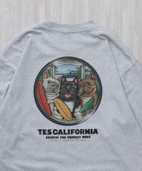 The Endless Summer(エンドレスサマー)の「TES 4BUHI BOARD BROTHERS LONG SLEEVE T-SHIRT / ロンT(Tシャツ/カットソー・メンズ・ホワイト/ベージュ/グレー・SMALL/MEDIUM/LARGE/X-LARGE/XX-LARGE)」の14枚目の写真