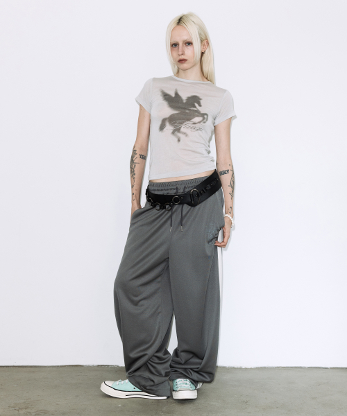 FANCY CLUB(ファンシークラブ)の「シェドウペガサスT(グレー)F26QB070(Tシャツ/カットソー・レディース・その他・ONE)」の3枚目の写真