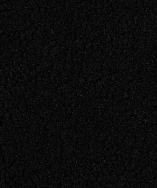 THE NORTH FACE(ザノースフェイス)の「THE NORTH FACE/ザ・ノース・フェイス リバーシブルエクストリームパイルフリースジャケット(ユニセックス)(ブルゾン・メンズ・ブラック/ナチュラル・LARGE/X-LARGE/MEDIUM)」の9枚目の写真