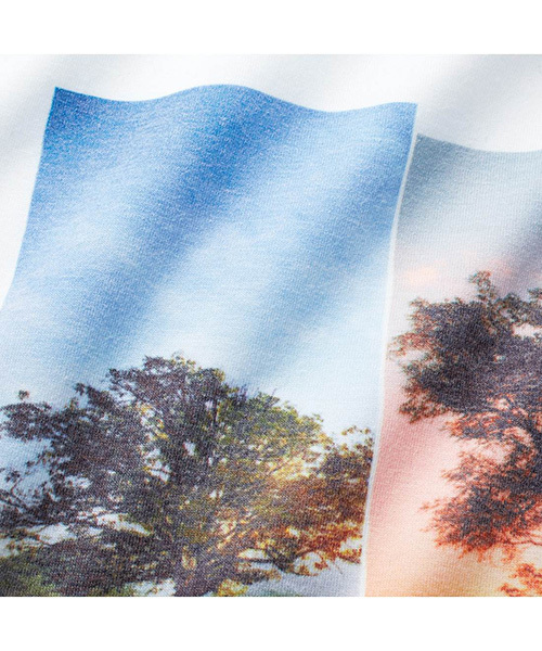 IEDIT(イディット)の「ミルブロウズ 着こなしのアクセントになるフォトグラフィックプリントVネックTシャツ (Tシャツ/カットソー・レディース・杢グレー/ホワイト・LARGE/SMALL/X-LARGE/MEDIUM/XX-LARGE)」の10枚目の写真