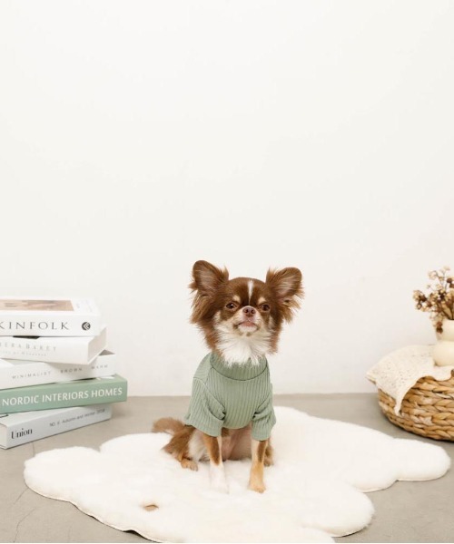 moncheri（モンシェリ）の「シンプルハイネックリブトップス / 犬服 / ドッグウェア（ペットウェア・レディース・ベージュ/グリーン/アイボリー/ブラック/ブルー・S/M/L/XL/2M/XS）」の6枚目の写真