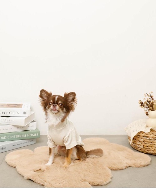 シンプルハイネックリブトップス / 犬服 / ドッグウェア（ペットウェア