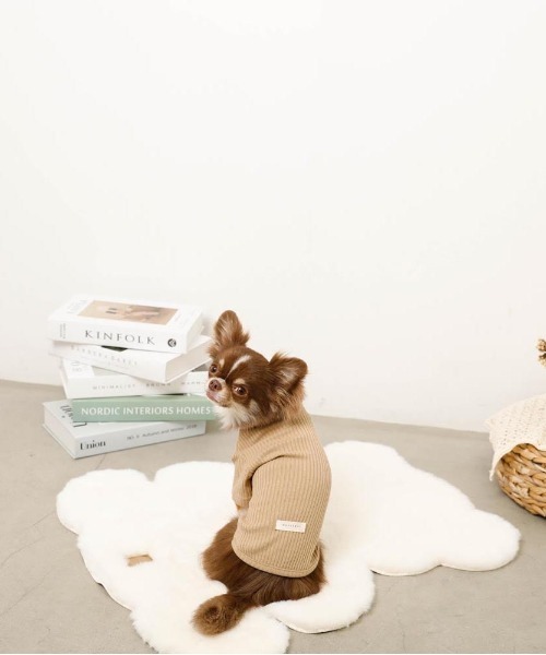 moncheri（モンシェリ）の「シンプルハイネックリブトップス / 犬服 / ドッグウェア（ペットウェア・レディース・ベージュ/グリーン/アイボリー/ブラック/ブルー・S/M/L/XL/2M/XS）」の8枚目の写真