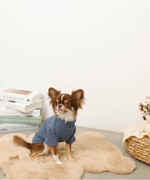 シンプルハイネックリブトップス / 犬服 / ドッグウェア（ペットウェア