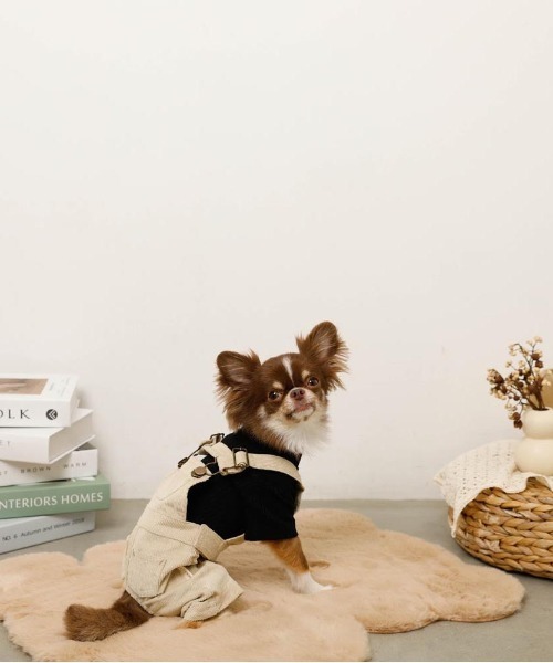 シンプルハイネックリブトップス / 犬服 / ドッグウェア（ペットウェア