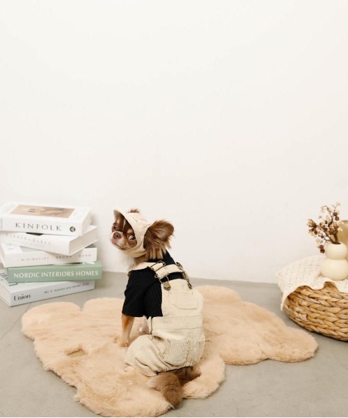 シンプルハイネックリブトップス / 犬服 / ドッグウェア（ペットウェア