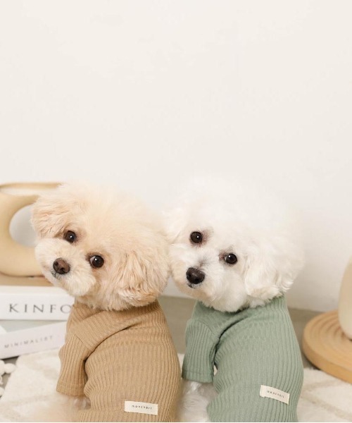 moncheri（モンシェリ）の「シンプルハイネックリブトップス / 犬服 / ドッグウェア（ペットウェア・レディース・ベージュ/グリーン/アイボリー/ブラック/ブルー・S/M/L/XL/2M/XS）」の14枚目の写真
