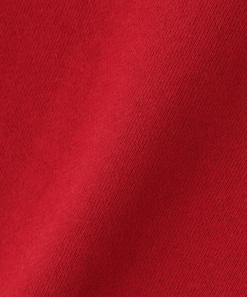 AVIREX（アヴィレックス）の「【KID'S】L/S ARCHLOGO COLOR HOOD PARKA/ キッズ アーチロゴフードパーカー（パーカー・キッズ・グレー系その他3/レッド/ネイビー・120/140/100）」の14枚目の写真