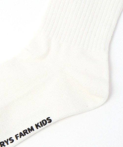 LOWRYS FARM(ローリーズファーム)の「ラインリブソックス 994594(ソックス/靴下・キッズ・オフホワイト/ブラック系その他/レッド/グリーン/ピンク/ブルー/ブラック/ピンク系その他・LARGE/MEDIUM)」の11枚目の写真