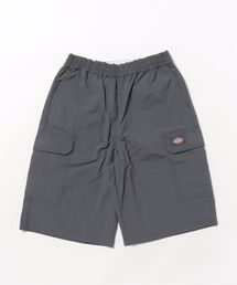 Dickies（ディッキーズ）の「ヒッコリーペインターパンツ