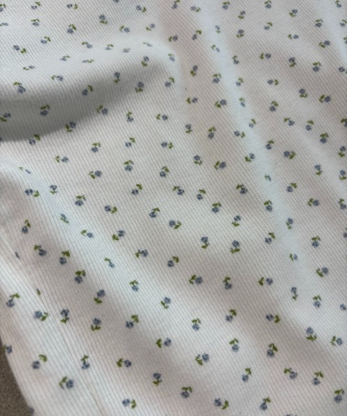 FUULLY STUDIO(フーリィーステューディオ)の「フラワープリントコンパクトTシャツ(Tシャツ/カットソー・レディース・ベージュ/ブルー・FREE)」の19枚目の写真