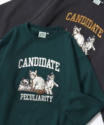 POWER TO THE PEOPLE（パワートゥーザピープル）の「2025AW POWER TO THE PEOPLE/パワートゥザピープル オーバーサイズ 裏起毛 アニマル刺繍 スウェット レディース メンズ トレーナー（スウェット）」