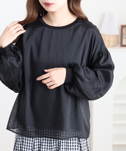 Anna Nicola(アンナニコラ)の「Anna Nicola シフォンレイヤードカットソー(Tシャツ/カットソー・レディース・ピンク/ベージュ/ブラック・38)」の2枚目の写真