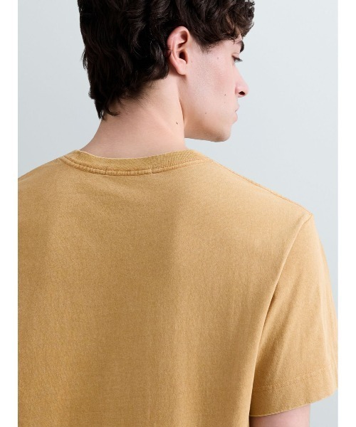 REPLAY(リプレイ)の「オープンエンドジャージーロゴTシャツ(Tシャツ/カットソー・メンズ・サンドベージュ/ダークブラック・SMALL/X-LARGE/LARGE/MEDIUM)」の6枚目の写真