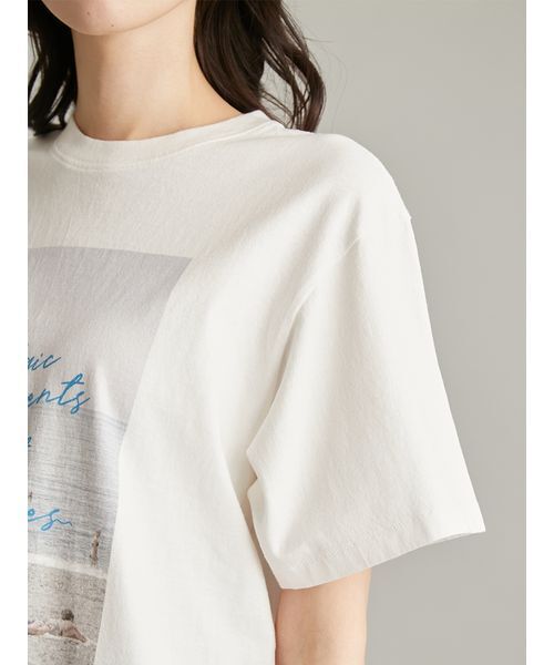 Mila Owen(ミラオーウェン)の「フォトプリントTシャツ(Tシャツ/カットソー・レディース・ピンク/ホワイト/ミント/チャコールグレー・F)」の9枚目の写真