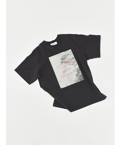 Mila Owen(ミラオーウェン)の「フォトプリントTシャツ(Tシャツ/カットソー・レディース・ピンク/ホワイト/ミント/チャコールグレー・F)」の2枚目の写真