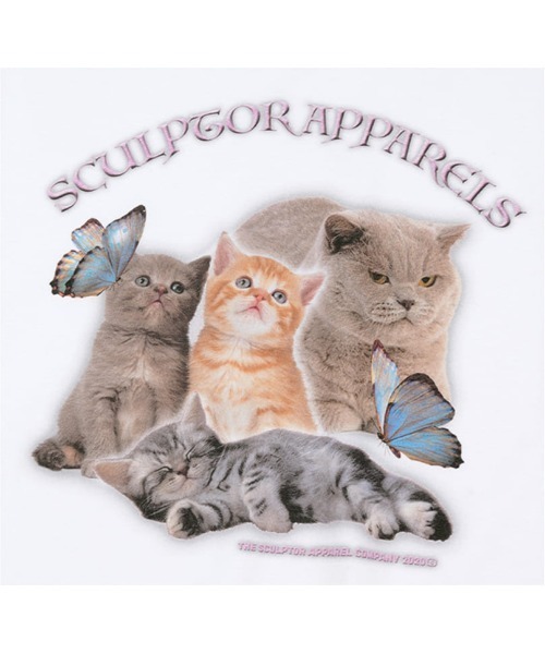 【ほぼ未使用】　the pussycat dolls 9枚セット 楽天市場】アゾン えっくす☆きゅーと Star Sprinkles/Moon Cat