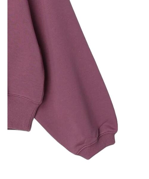 Green Parks(グリーンパークス)の「袖ボリューム裏毛プルオーバー(スウェット・レディース・ブルー/ブラック/グレー系その他2/ピンク系その他2・FREE)」の12枚目の写真