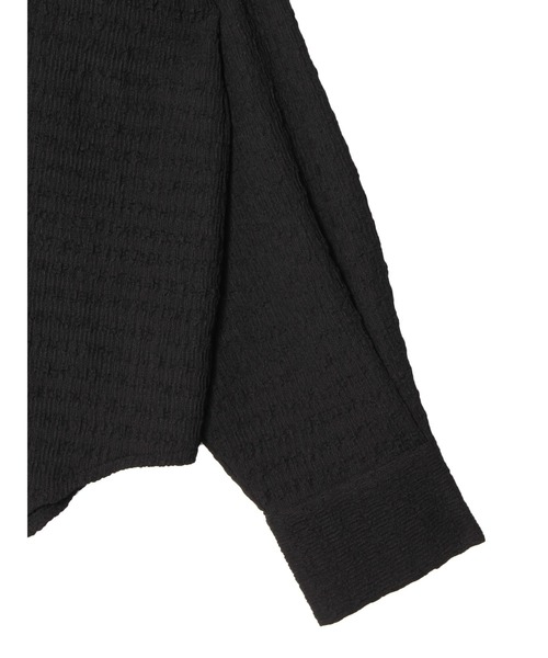 PAMEO POSE（パメオポーズ）の「Icon Shirts（シャツ/ブラウス・レディース・グリーン/ベージュ/ブラック・FREE）」の16枚目の写真