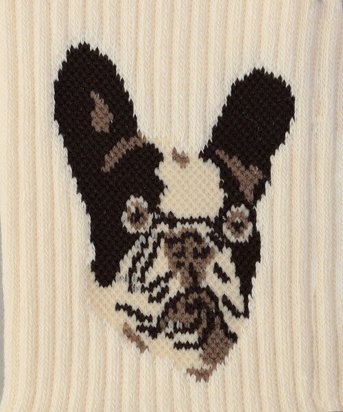 FREAK'S STORE(フリークスストア)の「【限定展開】ROSTER SOX/ロスターソックス DOG SOCKS(ソックス/靴下・レディース・ナチュラル・ONE SIZE)」の5枚目の写真