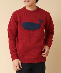 NOLLEY’S | クジラインターシャ クルーネックニット 24AW(ニット/セーター)