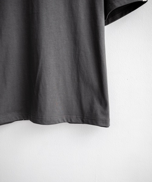 THE NORTH FACE(ザノースフェイス)の「日本未展開モデル THE NORTH FACE ザ・ノースフェイス WHITE LABEL ホワイトレーベル SIGNATURE S/S R/TEE ロゴプリント半袖Tシャツ(Tシャツ/カットソー・メンズ・ライトブルー/ブラック/ホワイト/チャコール・L/M/S/XXL/XS/XL)」の9枚目の写真