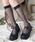WEGO�i�E�B�S�[�j�́uWEGO/�h�b�g���V�A�[�n�C�\�b�N�X�i�\�b�N�X/�C���j�v�b�u���b�N