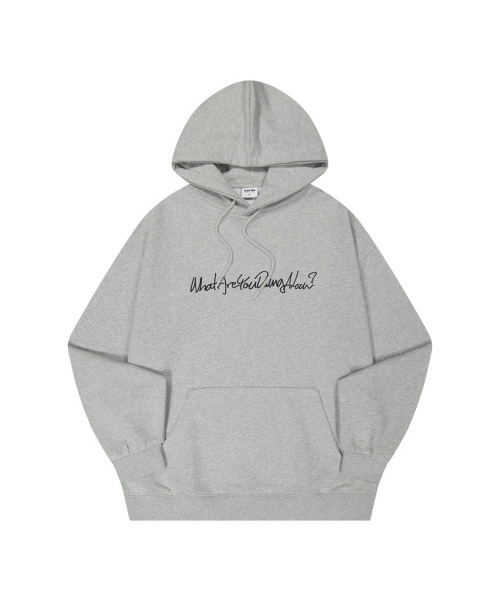 WAYDN(ウェイドゥン)の「レタリングオーバーサイズフードメランジグレー(パーカー・メンズ・その他・XL/M/L)」の1枚目の写真