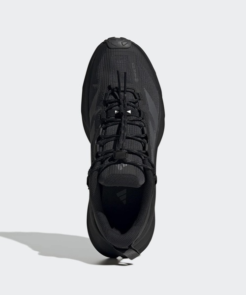 テレックス フリーハイカー SL GORE-TEX ハイキング シューズ / Terrex
