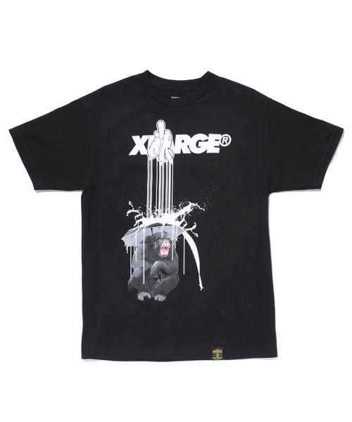 DISSIZIT　Tシャツ　Lサイズ 000000013942_LH7atiK.jpg