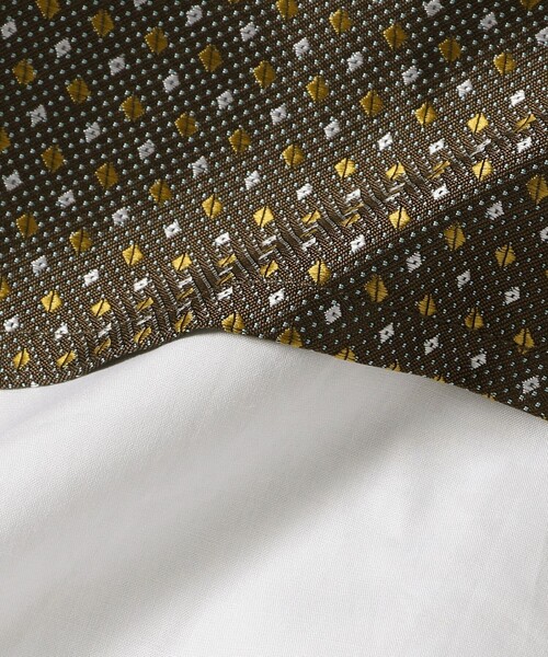 Ray BEAMS（レイビームス）の「RBS / ジャカード タック ノースリーブ（シャツ/ブラウス・レディース・ライトブルー/ダークブラウン・ONE SIZE）」の12枚目の写真