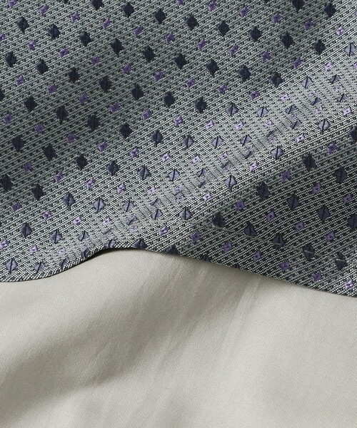 Ray BEAMS（レイビームス）の「RBS / ジャカード タック ノースリーブ（シャツ/ブラウス・レディース・ライトブルー/ダークブラウン・ONE SIZE）」の19枚目の写真