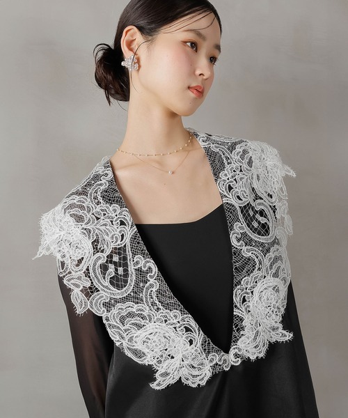 himawari様☆ダイアン パーティードレス bla19999md_black_nude_front.jpg