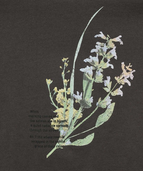 mysty woman(ミスティウーマン)の「ガーデンフラワーLSTEE 659253(Tシャツ/カットソー・レディース・オフホワイト/チャコールグレー/ベージュ・FREE)」の16枚目の写真