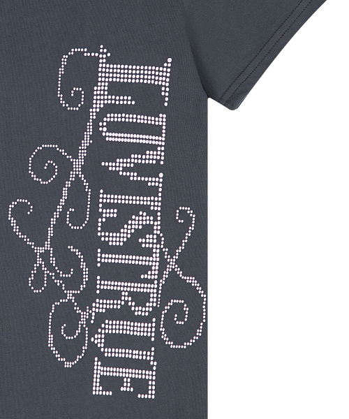 LUVISTRUE(ラヴイズトゥルー)の「EL LUVISTRUE LOGO TEE(CHARCOAL)(Tシャツ/カットソー・レディース・その他・FREE)」の5枚目の写真