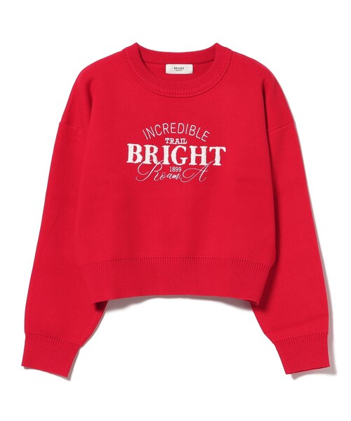 BEAMS HEART(ビームスハート)の「刺繍 ニット プルオーバー(ニット/セーター・レディース・レッド/ホワイト系その他5/ライトグレー・FREE)」の16枚目の写真