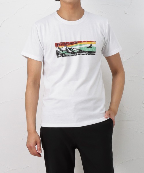 Mac-House(マックハウス)の「T-GRAPHICS ティーグラフィックス アウトドアプリント半袖Tシャツ(Tシャツ/カットソー・メンズ・ホワイト/グレー/カーキ/ブルー/ホワイト×ホワイト・S/M/L/XL)」の3枚目の写真