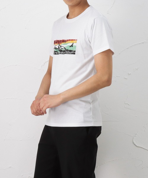 Mac-House(マックハウス)の「T-GRAPHICS ティーグラフィックス アウトドアプリント半袖Tシャツ(Tシャツ/カットソー・メンズ・ホワイト/グレー/カーキ/ブルー/ホワイト×ホワイト・S/M/L/XL)」の11枚目の写真