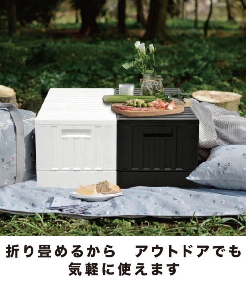 bcl/コンテナボックス 45L 2個セット（収納グッズ）｜entre square
