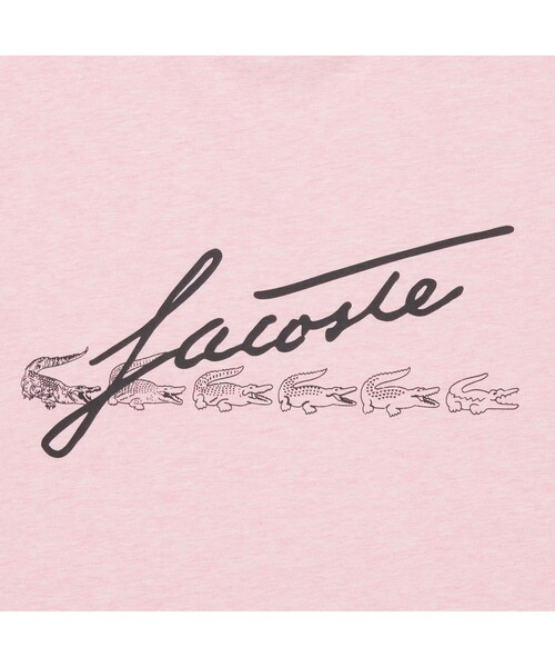 LACOSTE（ラコステ）の「スクリプトブランドネームロゴプリントTシャツ（Tシャツ/カットソー・メンズ・ホワイト/ブルー/ライトピンク/ヘザーグレー・4/2/3/5）」の15枚目の写真