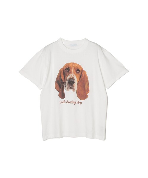 SHIPS any(シップス エニィ)の「SHIPS any: アニマル プリント デザイン Tシャツ(Tシャツ/カットソー・メンズ・グリーン/ブラック/ホワイト系その他/ホワイト・X-LARGE/LARGE/MEDIUM)」の1枚目の写真