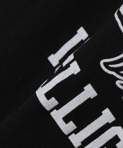 SHIPS any(シップス エニィ)の「SHIPS any: アニマル プリント デザイン Tシャツ(Tシャツ/カットソー・メンズ・グリーン/ブラック/ホワイト系その他/ホワイト・X-LARGE/LARGE/MEDIUM)」の19枚目の写真